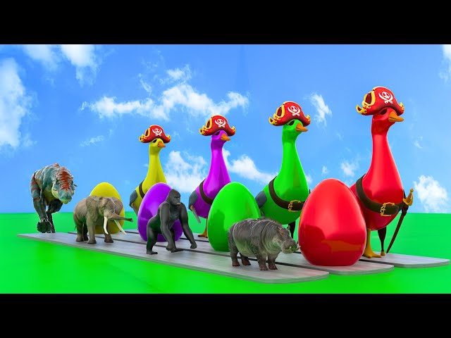 Video thumbnail for Paint Animals Duck Tiger Cow Lion Buffalo Gorilla Elephant Dinosaur Fountain Crossing Animal Game