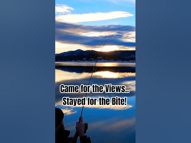 'Video thumbnail for Went to "Relax"... Fish Had Other Plans 🏞🎣'