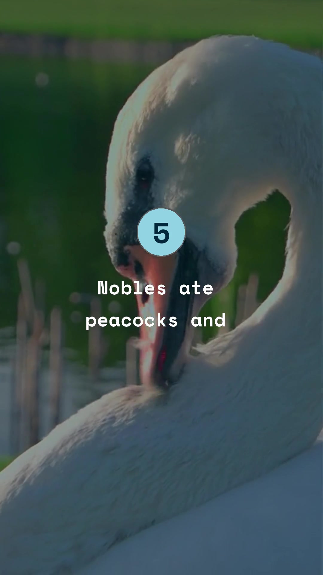 Playlist thumbnail for Global History Vodeos