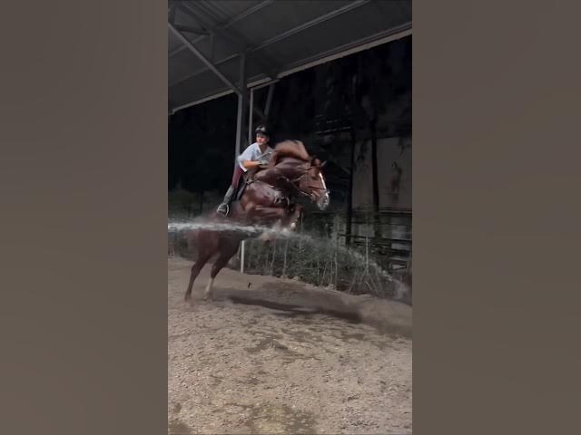 Video thumbnail for 7-sentabr, 2025