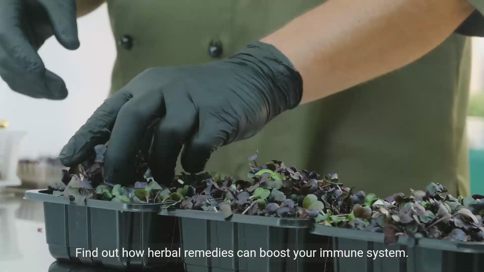 'Video thumbnail for Unlocking the Power of Herbal Remedies'