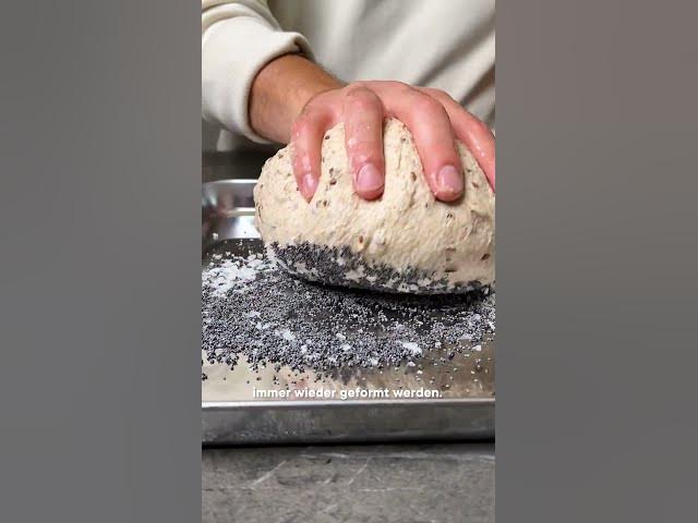 'Video thumbnail for Das Salzkrustenbrot mit knuspriger Mohn-Salz-Kruste gelingt im Handumdrehen! #nutella #brotrezepte'