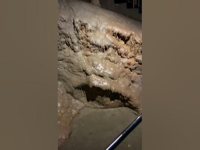 Video thumbnail for frumusețea naturii