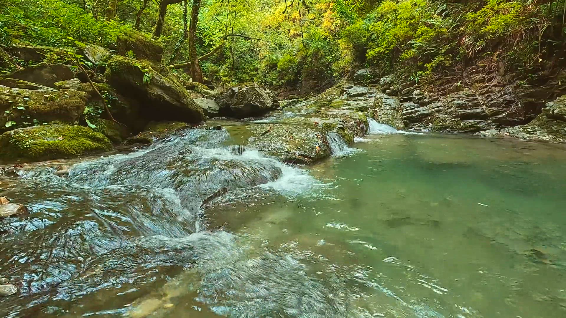 Video thumbnail for BEAUTYFULLY WATER