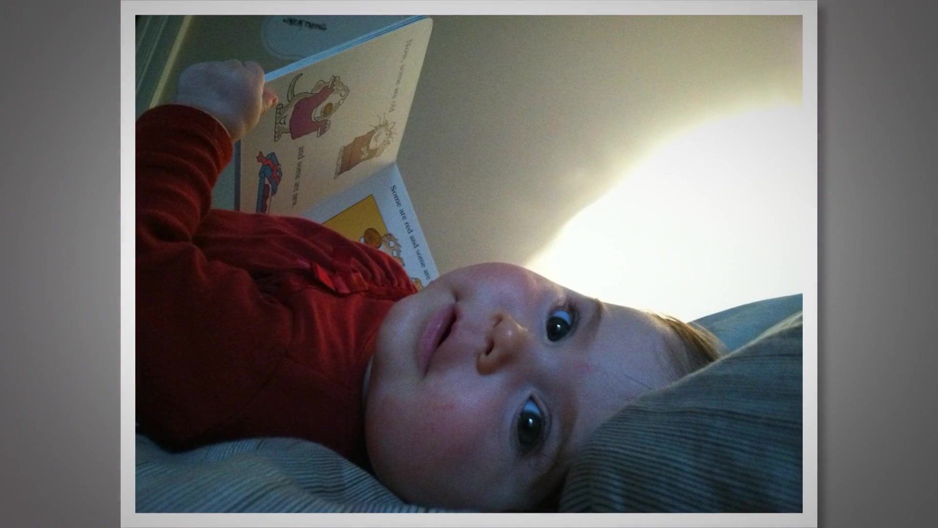 Video thumbnail for A Few of Our Favorite Toddler Books You Will Love