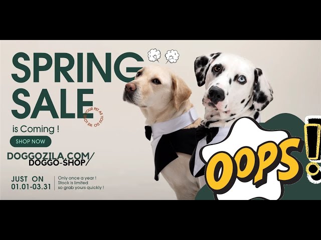 'Video thumbnail for River Dog Life - Dog Adventures'