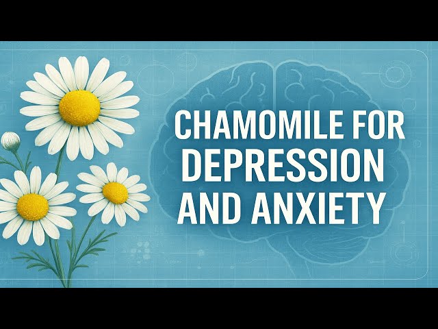 Video thumbnail for Ditch Meds? Chamomile’s SECRET Anti-Anxiety Power (9/10 Trials Prove It)