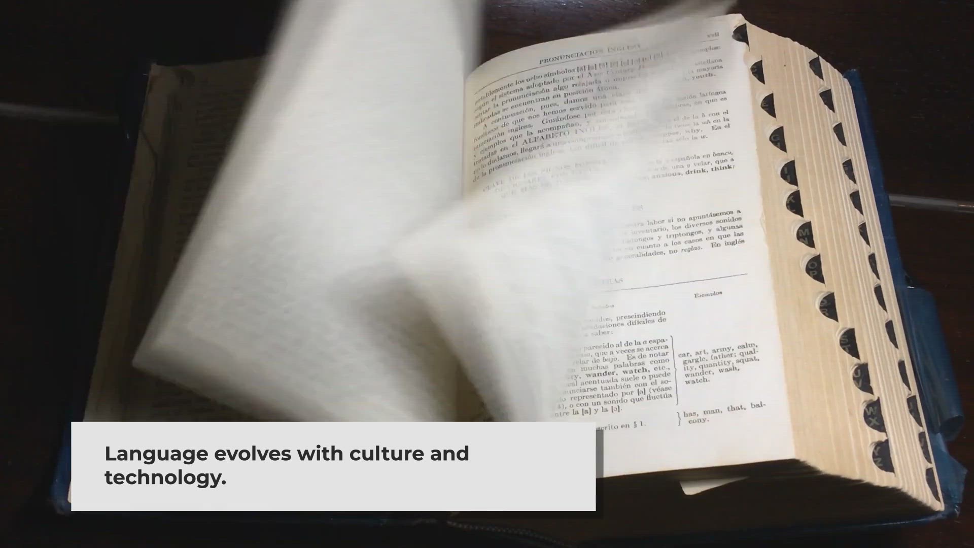 Video thumbnail for The Lexicon of the Future: How New Words Are Added to Our Dictionaries
