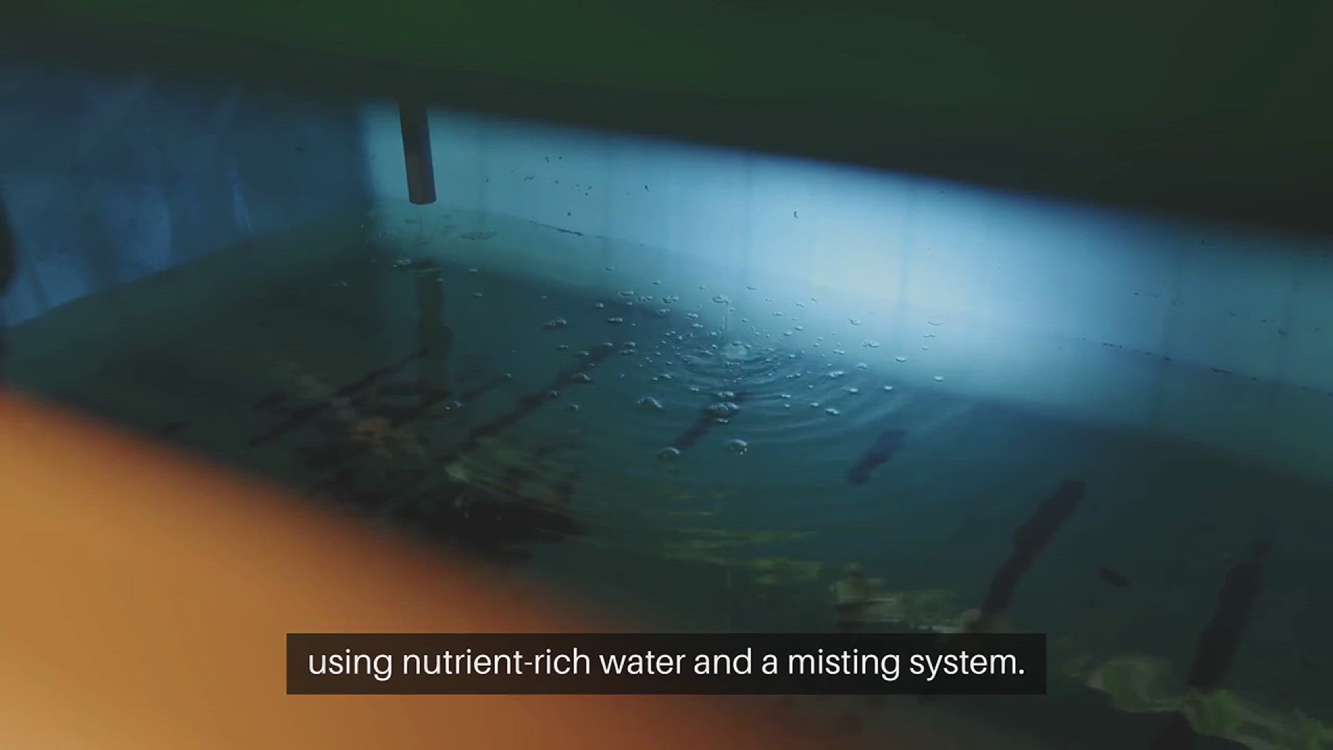 'Video thumbnail for DIY Aeroponic Tower System'