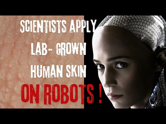 Video thumbnail for Scientists Create A Lab-Grown Human Skin And Cover Robots With It !