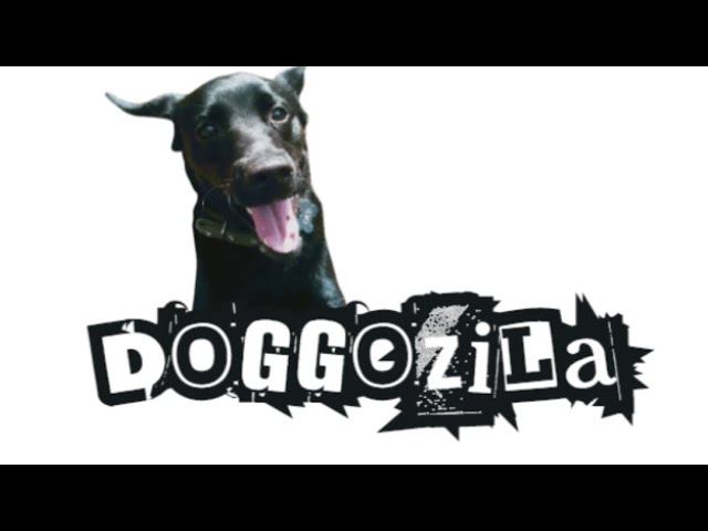 'Video thumbnail for Daily Doggos - Healthiest Dog Breeds'