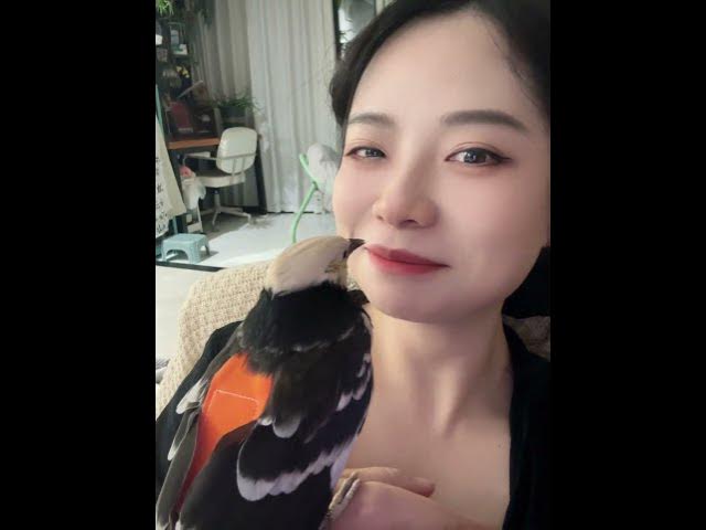 Video thumbnail for How Funny 😂😂🤣