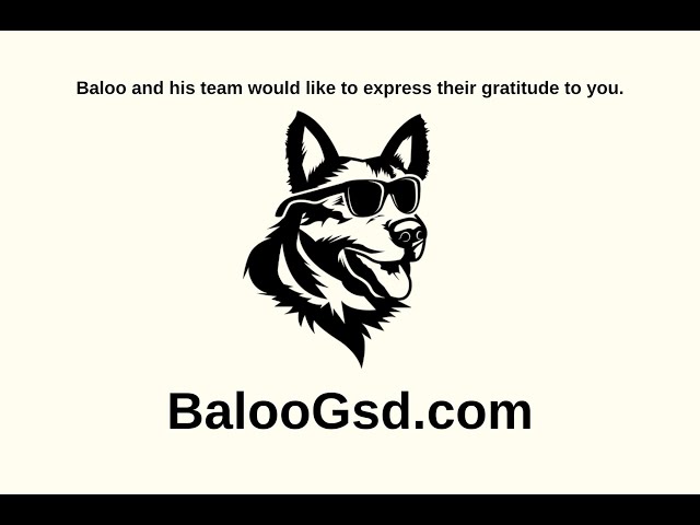 'Video thumbnail for The Essential Guide to Grooming Your German Shepherd'