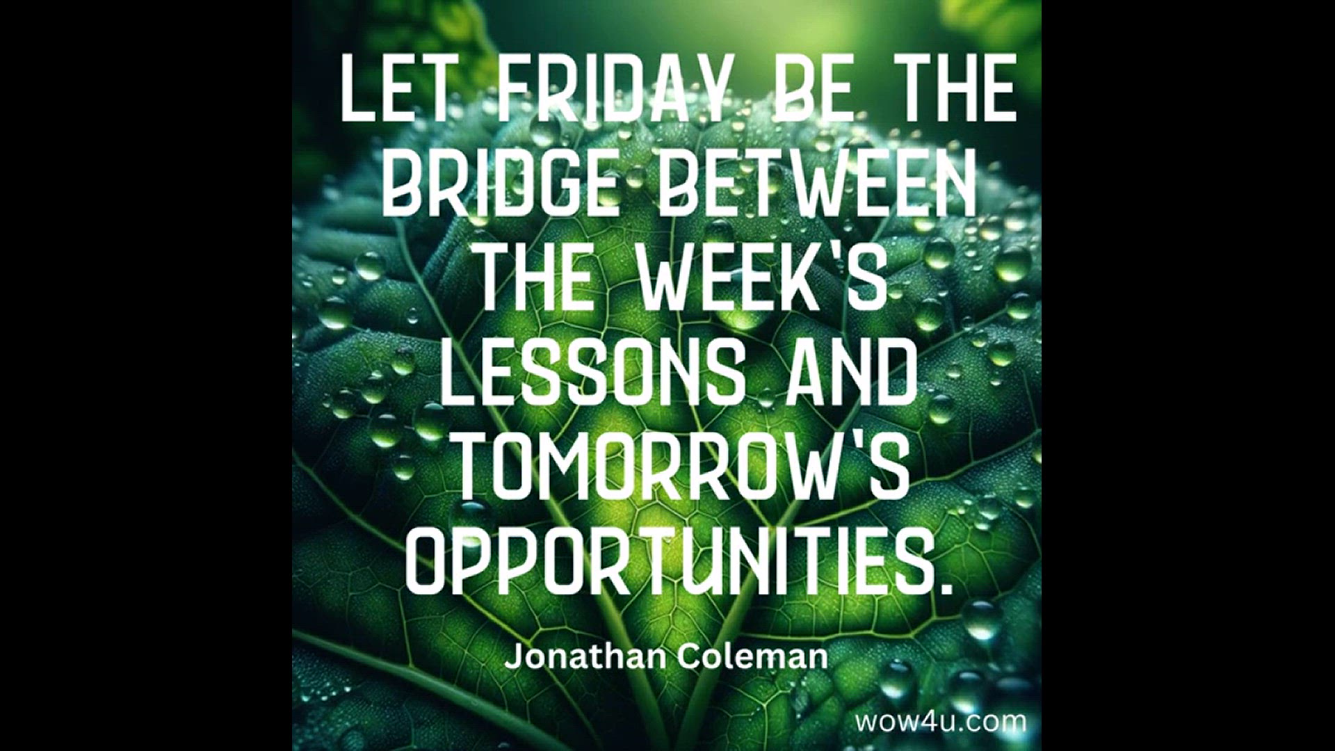 Playlist thumbnail for Friday Reflections