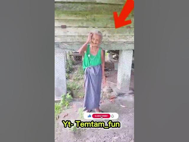 Video thumbnail for Mashti video like and comets #miss_lobali_officil_200k Dj Anil Bau Surjula 2025 #jashpur