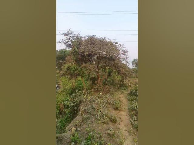 Video thumbnail for Narpatganj Vlog