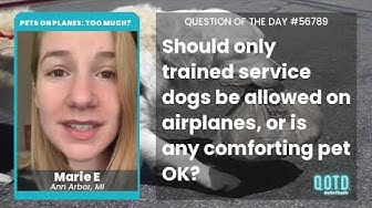 Video thumbnail for Marie E thinks its unreasonable to limit service animals on planes, although people abuse the system