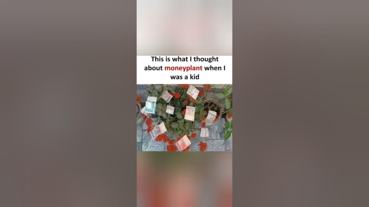 'Video thumbnail for Memes only Legends will find funny,op memes | Relatable memes | #108 #shorts #memes #anonymous #meme'