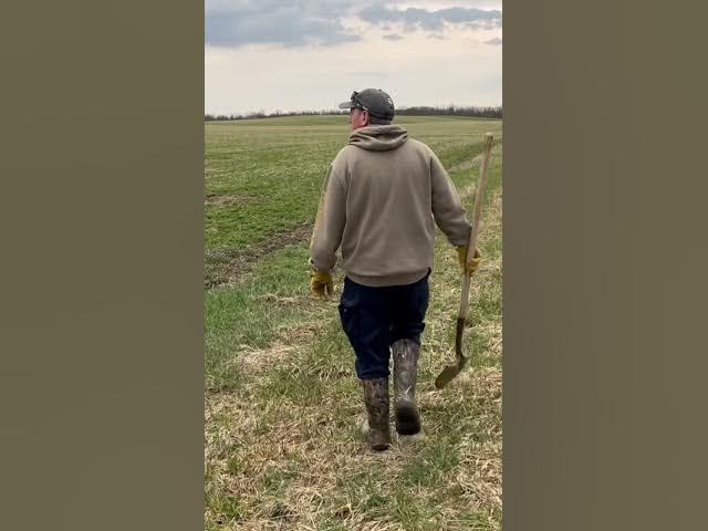 Video thumbnail for Woodchuck after 280 yards .223