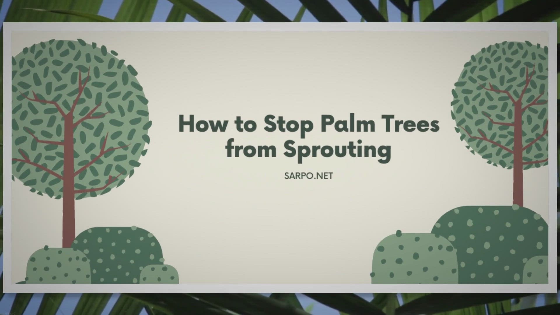 Video thumbnail for How To Stop Palm Trees From Sprouting | SARPO