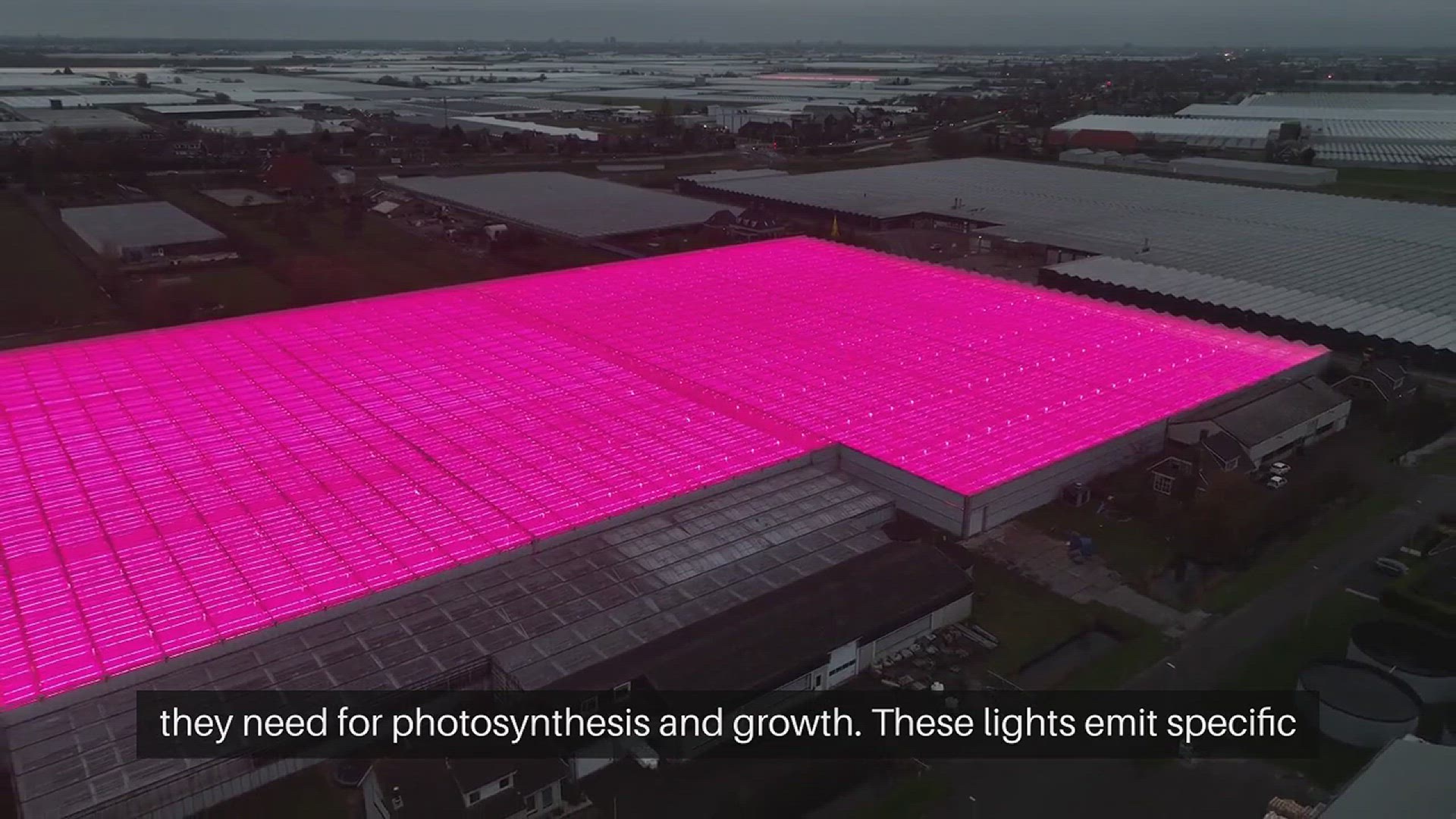 'Video thumbnail for LED Grow Lights For Indoor Plants'