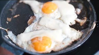 'Video thumbnail for "Cracking the Egg Mystery: Fun Facts You Didn't Know About Eggs!"'