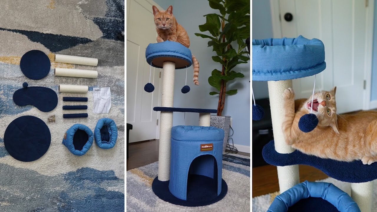 Video thumbnail for Does Tiger Like This Clevahome Cat Tree?
