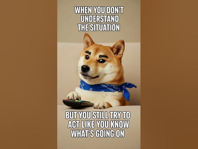 Video thumbnail for #DreamScreenAI #memes #funny #ai