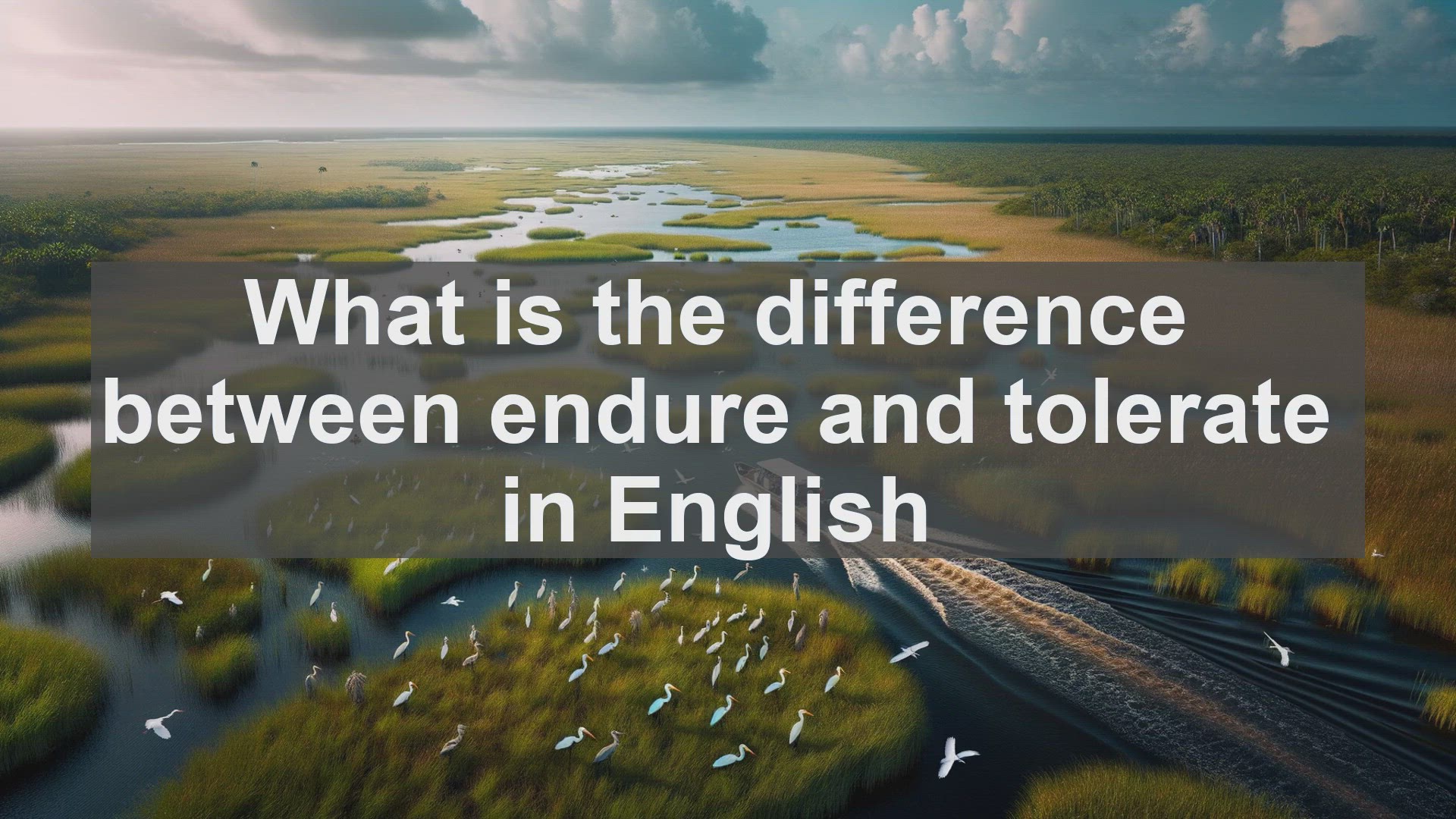 'Video thumbnail for What is the difference between endure and tolerate in English?'