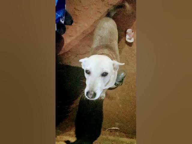 Video thumbnail for 17 September 2025