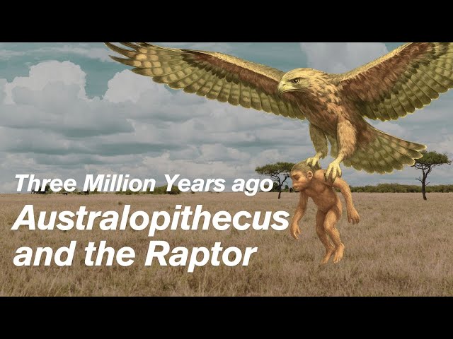 Video thumbnail for Australopithecus Africanus and the Hunting Eagle