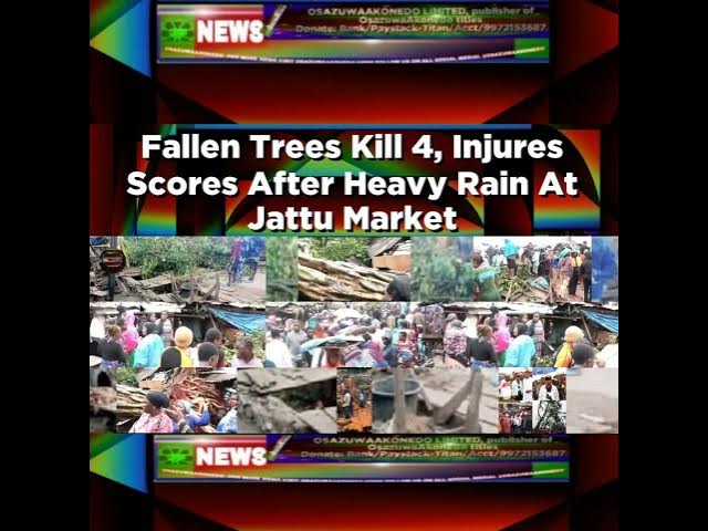 Video thumbnail for Fallen Trees Kill 4, Injures Scores After Heavy Rain At Jattu Market ~ OsazuwaAkonedo