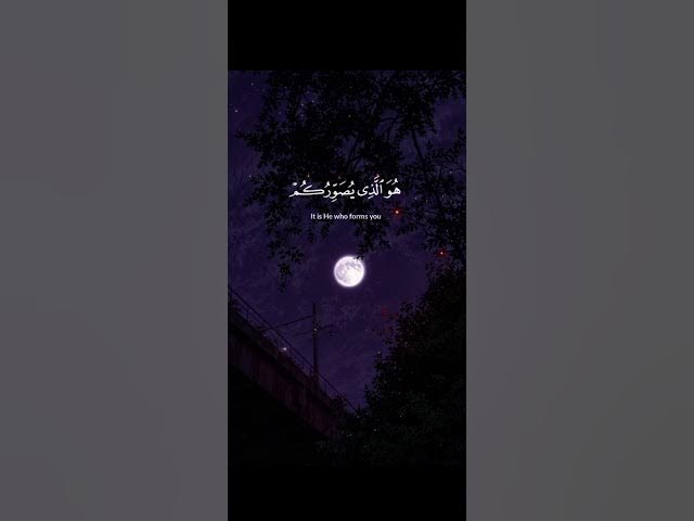 Video thumbnail for SO BEAUTIFUL QURAN RECITATION ♥️]Abdul rahman mossad]Please subscribe