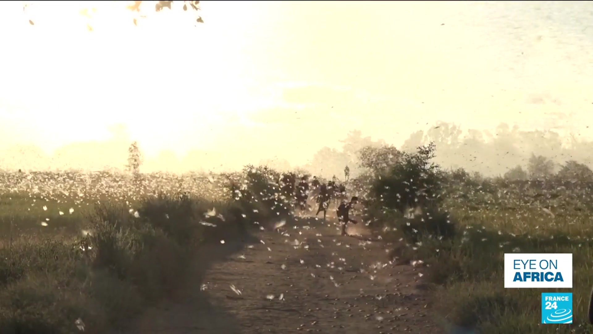 'Video thumbnail for Madagascar’s malnutrition crisis deepens with climate shocks and aid cuts'