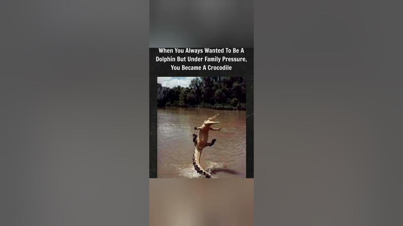 'Video thumbnail for funny memes that will make you laugh #595 || legend memes ||  funny relatable memes 😂 #memes #shorts'