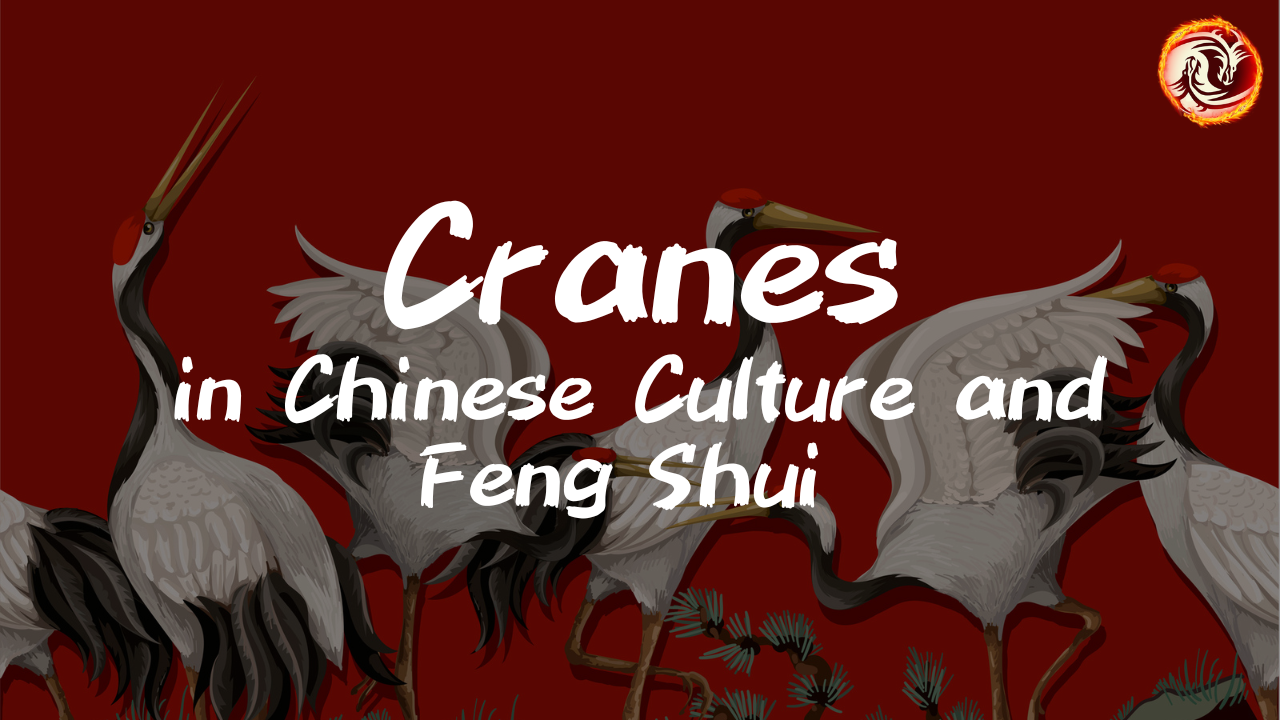 'Video thumbnail for Unlock the Secrets of Cranes in Chinese Culture and Feng Shui'