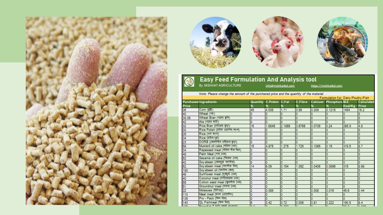 Video thumbnail for সঠিক নিয়মে পাংগাস মাছের খাদ্য তৈরি