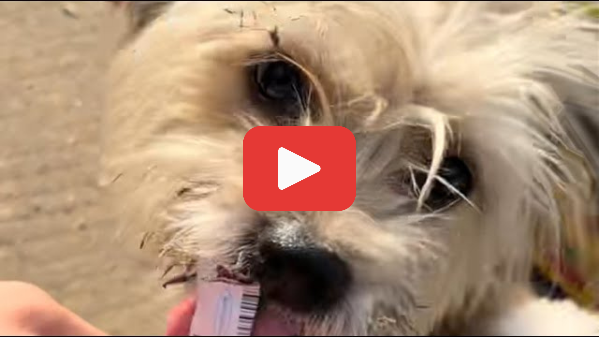 'Video playlist thumbnail'