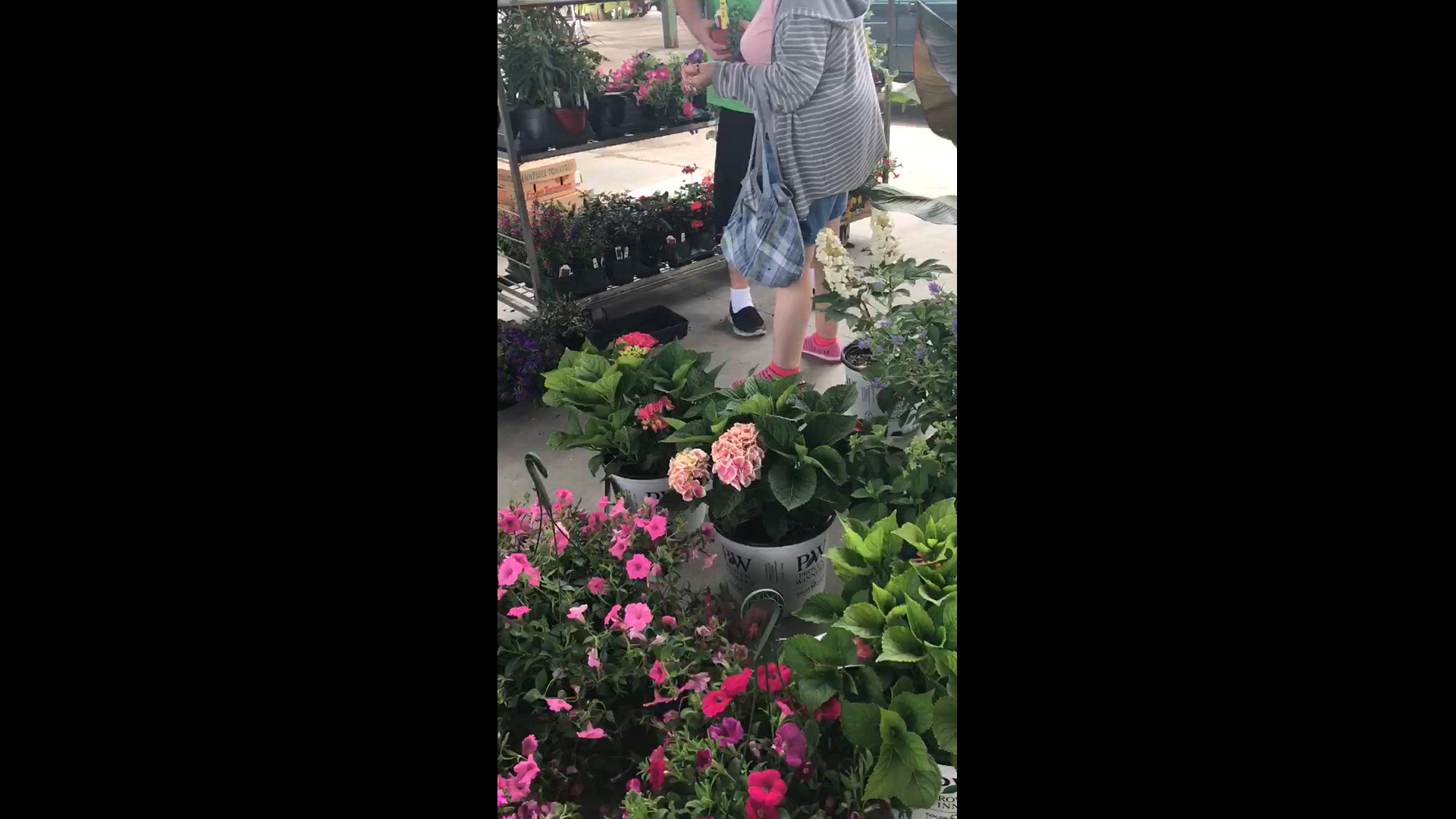 Video thumbnail for Farmers Market