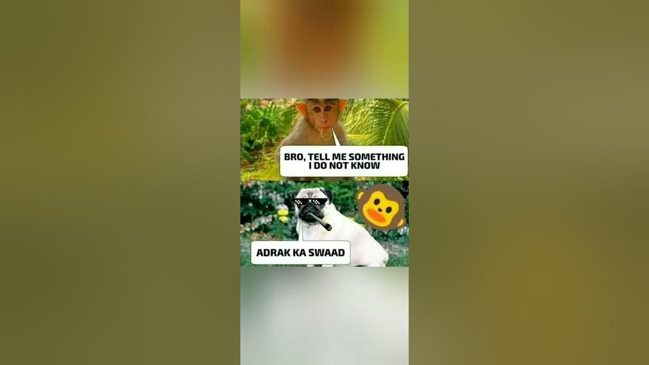 'Video thumbnail for Memes only Legends will find funny,op memes | Relatable memes | #183 #shorts #memes #anonymous #meme'