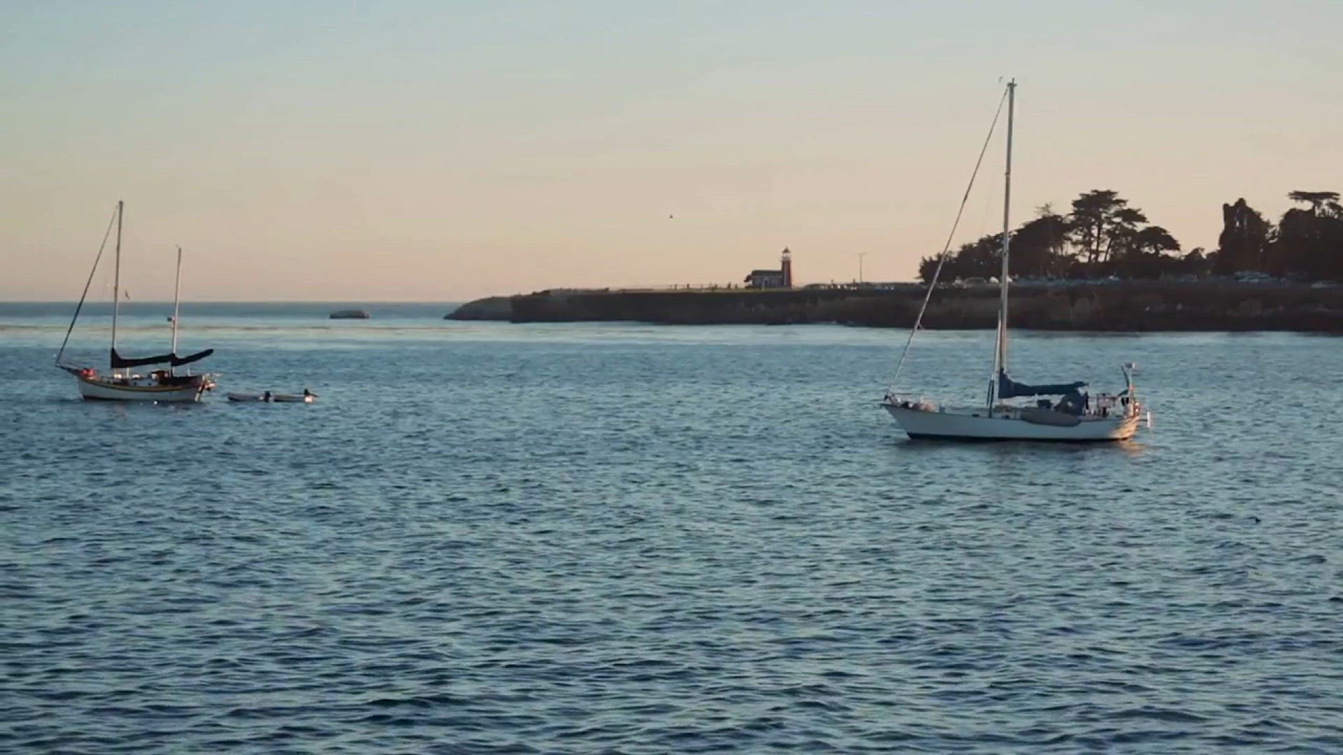 'Video thumbnail for Santa Cruz Wharf Collapse Shocks Tourists – What Happened?'