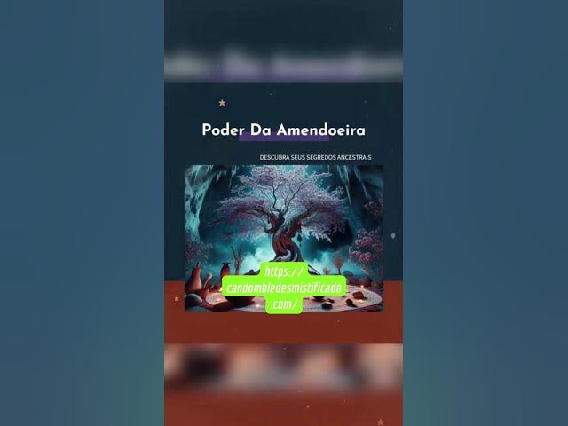 'Video thumbnail for 24 de outubro de 2024'