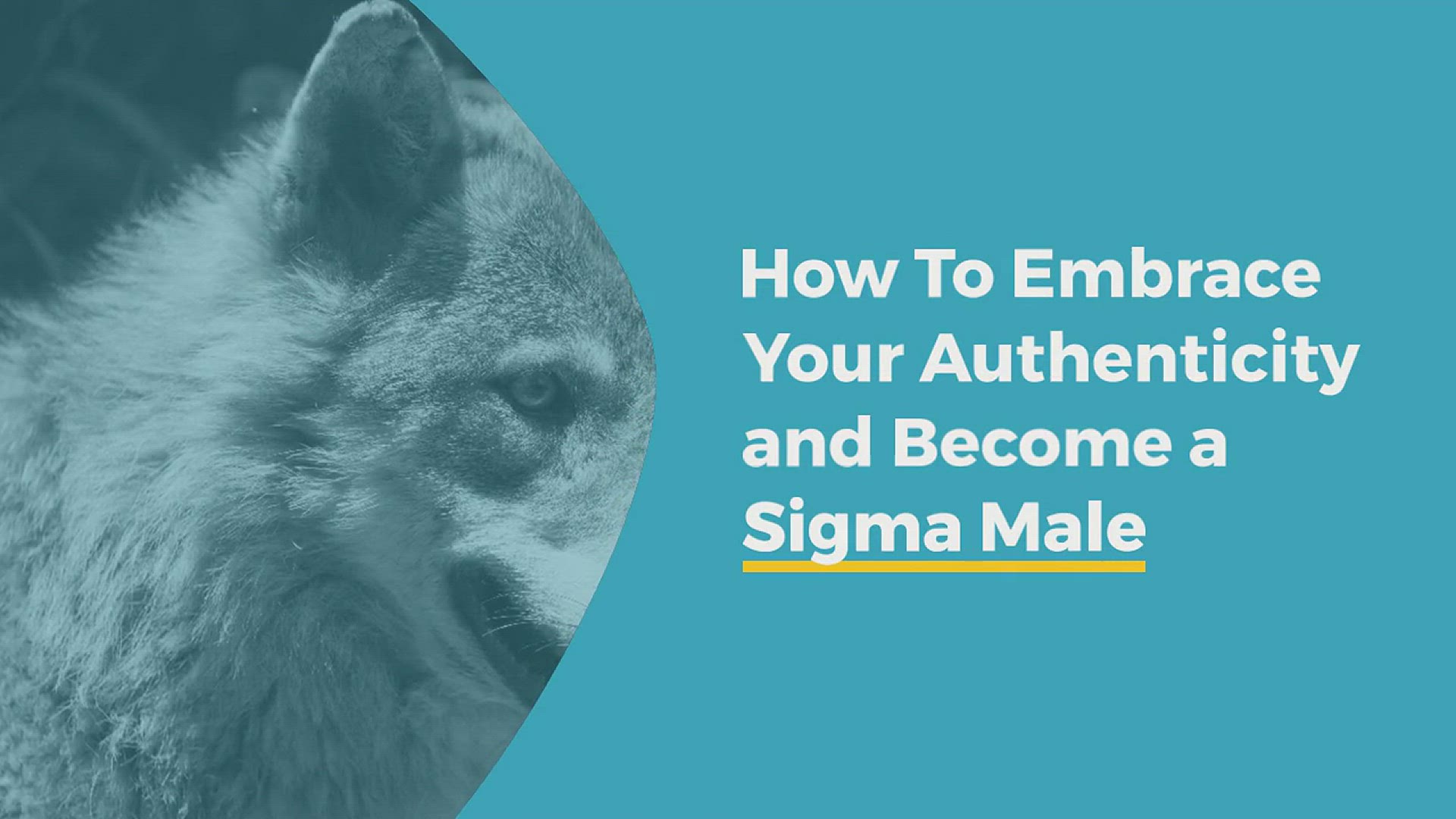 'Video thumbnail for How To Embrace Your Authenticity and Become a Sigma Male'