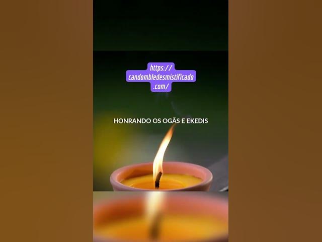 'Video thumbnail for 1 de novembro de 2024'