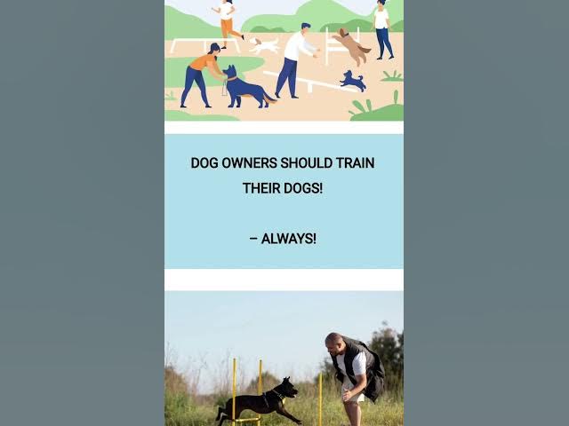 'Video thumbnail for Dog's Most Wanted - Most Popular Dog Breeds | Doggozine'