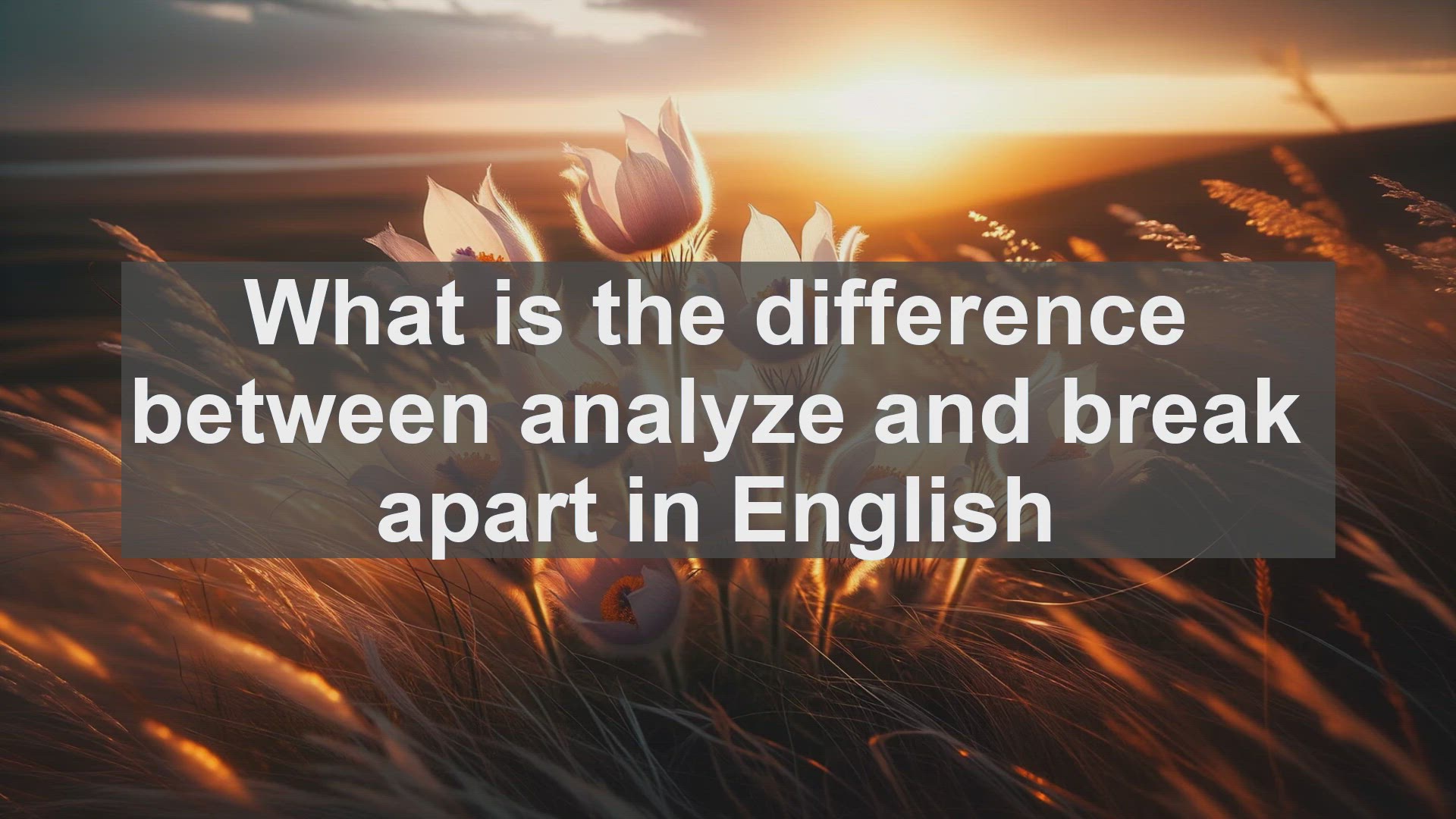 'Video thumbnail for What is the difference between analyze and break apart in English?'