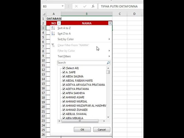 Video thumbnail for CARA MENEMUKAN DATA DI EXCEL DENGAN FITUR FILTER
