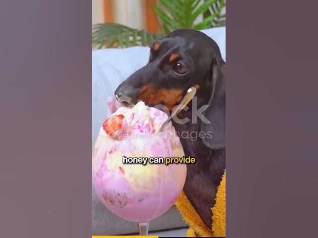 'Video thumbnail for Alleviating digestive issues'