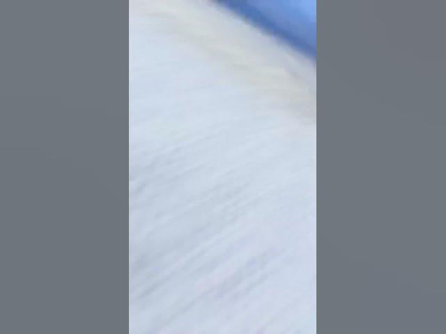 Video thumbnail for God damn #funny