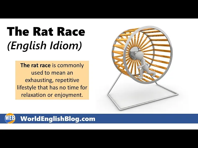 'Video thumbnail for The Rat Race - English Idiom 🐀'